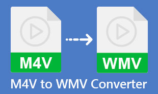 Bedste M4V til WMV konverter