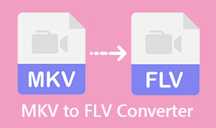 Καλύτερος μετατροπέας MKV σε FLV