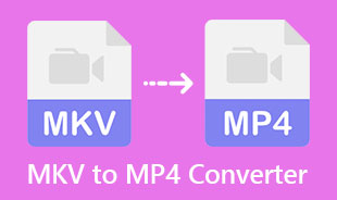 Bedste MKV til MP4 konverter
