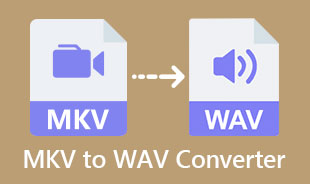 Bedste MKV Yo WAV Converter