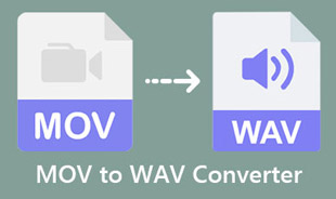 MOV til WAV konverter