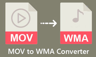 MOV til WMA-konverter