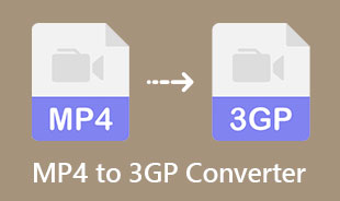 Meilleur convertisseur MP4 vers 3GP