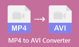Beste MP4 til AVI-konverterer