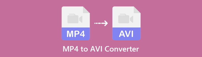 Beste MP4 naar AVI-converter