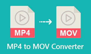 Bästa MP4 till MOV Converter