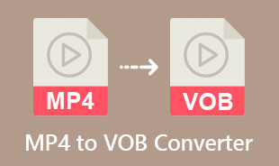 Beste MP4 til VOB Converter