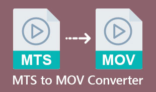 Beste MTS til MOV-konverterer