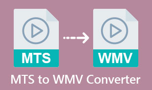 Công cụ chuyển đổi MTS sang WMV tốt nhất