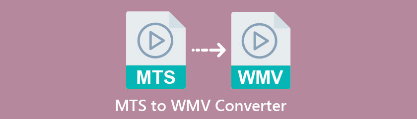 Beste MTS naar WMV-converter