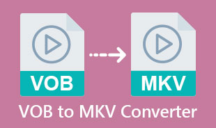 Cel mai bun convertor VOB în MKV