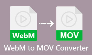 Công cụ chuyển đổi WebM sang MOV tốt nhất