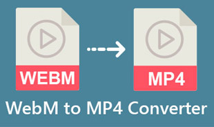 Bedste WEBM til MP4-konverter