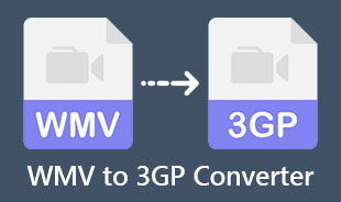 Bedste WMV til 3GP konverter