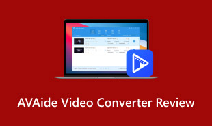 AVAide 비디오 컨버터 검토