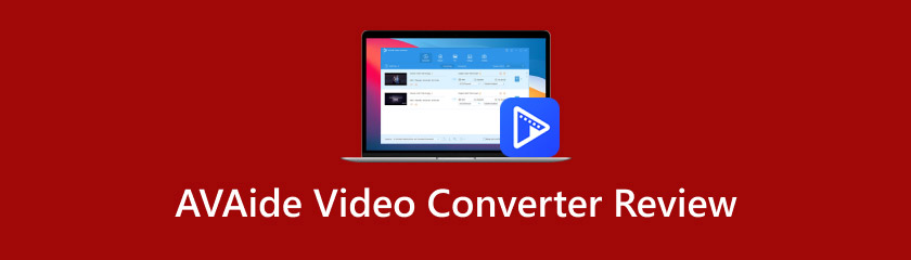 AVAide Vdieo Converter Review