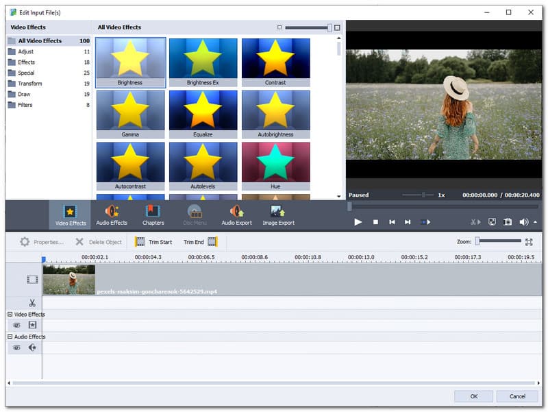 AVD Video Converter Editar vídeos