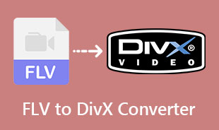 DivX कनवर्टर के लिए सर्वश्रेष्ठ FLV