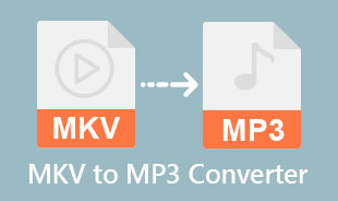 Bedste MKV til MP3 konverter