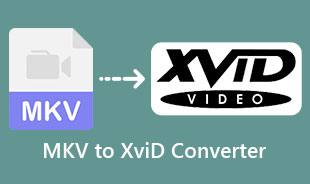 Bedste MKV til XviD konverter