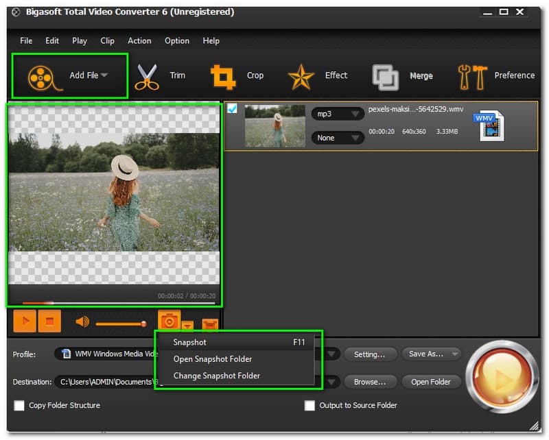 Bigasoft Total Video Converter จับภาพ