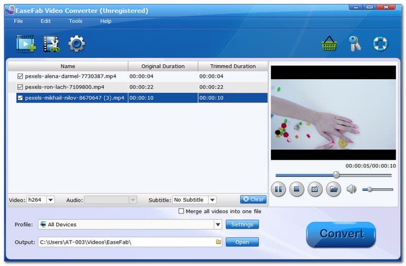 อินเทอร์เฟซ EaseFab Video Converter