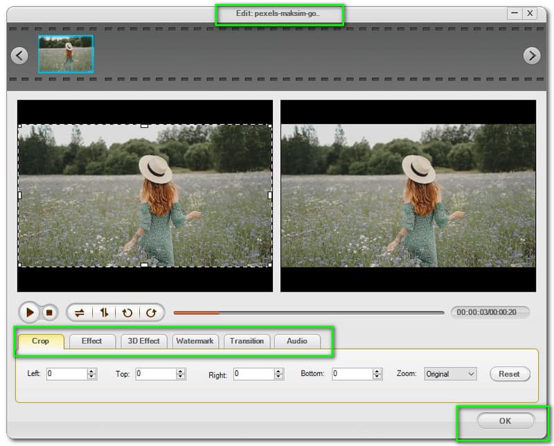 iOrgsoft Video Converter Personalizar