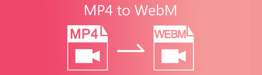 MP4 til WebM