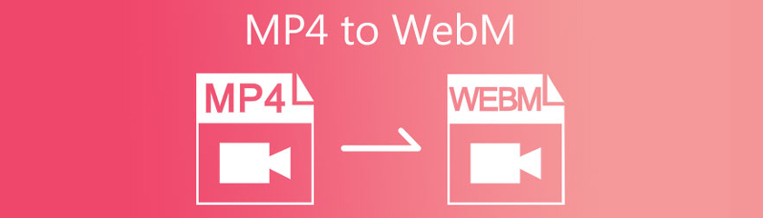 MP4 till WebM