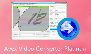 Avex Video Converter Platinum