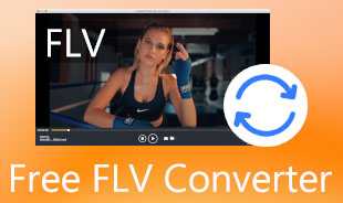 Zdarma FLV Converter