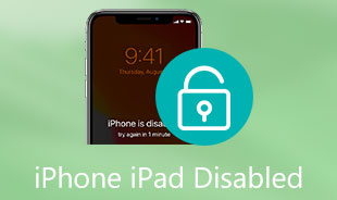 iPhone iPad Disabled