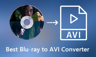 최고의 Blu-ray to AVI 변환기