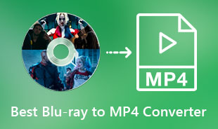 Recensioner Blu-ray till MP4 Ripper