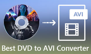 AVI कनवर्टर के लिए डीवीडी की समीक्षा करें