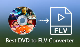 FLV 변환기에 DVD를 검토