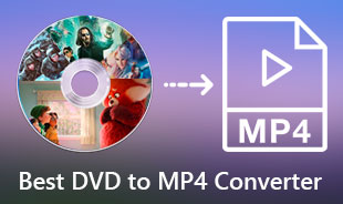评论 DVD 到 MP4 转换器