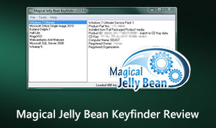 Magisk Jelly Bean Keyfinder recension