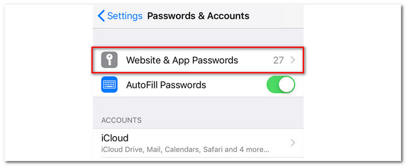 iPhone Website and App Password