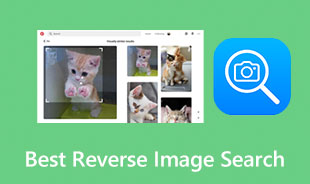 Best Reverse Image Search Review