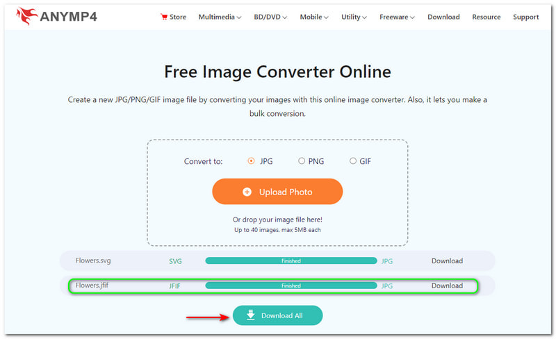 Best JFIF to JPG Converters AnyMP4 Free Image Converter Online