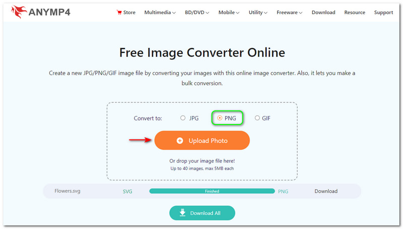Best SVG to PNG Converter AnyMP4 Free Image Converter Online