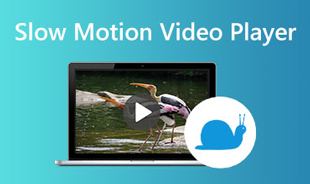 Best Slow Motion Video Player