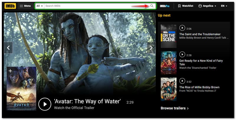 How to Use IMBd TV Search Bar