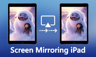 Paras iPad Screen Mirror App s