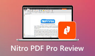 Nitro PDF Pro 審閱