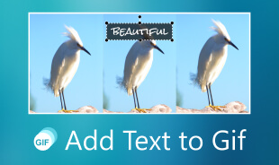 Adăugați text în GIF