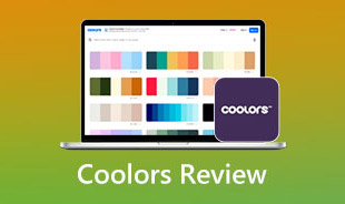 Coolors Review