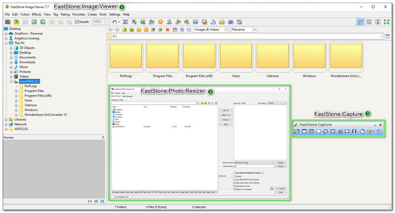 Interface de revisão do FastStone