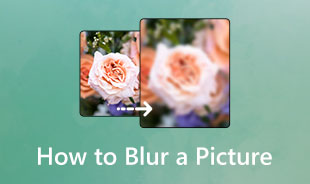 How to Blur a Picture